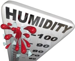 Humidity Level Rate Rising 100 Percent Thermometer